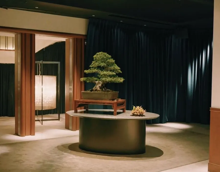 JUME BONSAI installation