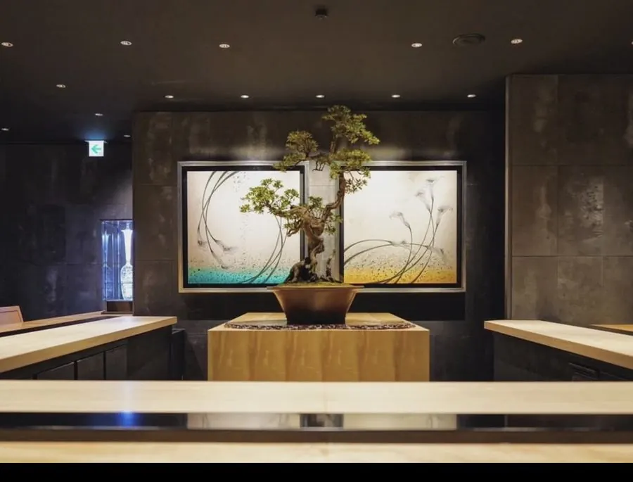 JUME BONSAI installation